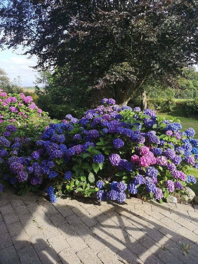 Hvirrekaergaard, Midt I Naturen. Hirtshals Dış mekan fotoğraf
